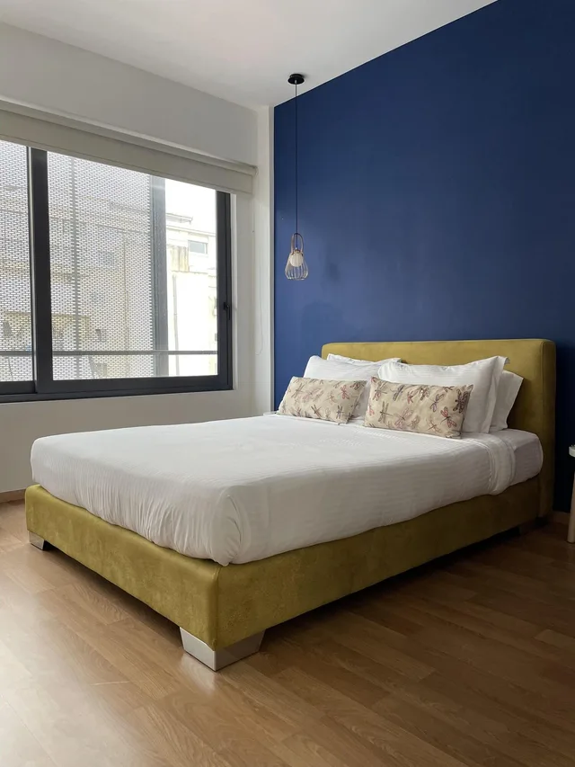 غرفة سوبيريور بسرير مزدوج، Acropolis Plaza Smart Hotel 1/8