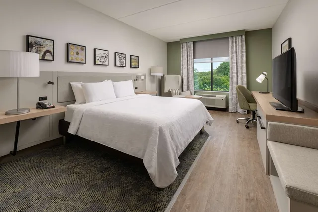 غرفة بسرير كينج بحوض استحمام لذوي الإعاقة، Hilton Garden Inn Nashville/Franklin Cool Springs 1/2