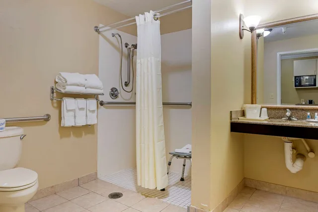 جناح بسرير كينج لذوي الإعاقة، Comfort Suites Port Wentworth - Savannah North 3/3