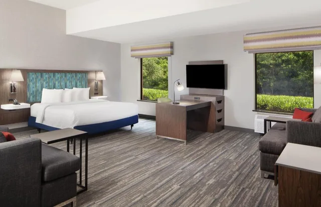 جناح بسرير كينج مع أريكة لذوي الإعاقة، Hampton Inn Suites Natchez 2/4