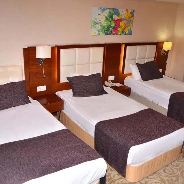 Room, Triple, ASRIN BUSINESS HOTEL 3/10