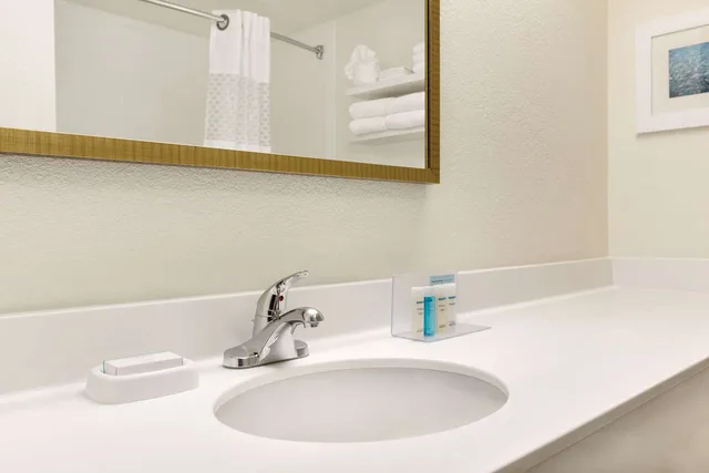 1 Bedroom, Suite, King Bed, Hampton Inn & Suites Tarpon Springs 2/2