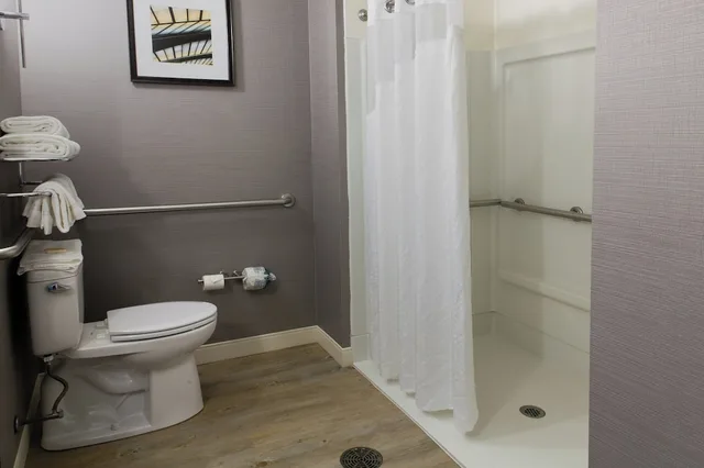 غرفة قياسية بسريرين كوين لذوي الإعاقة، Holiday Inn Hotel Suites Bloomington Airport 3/6