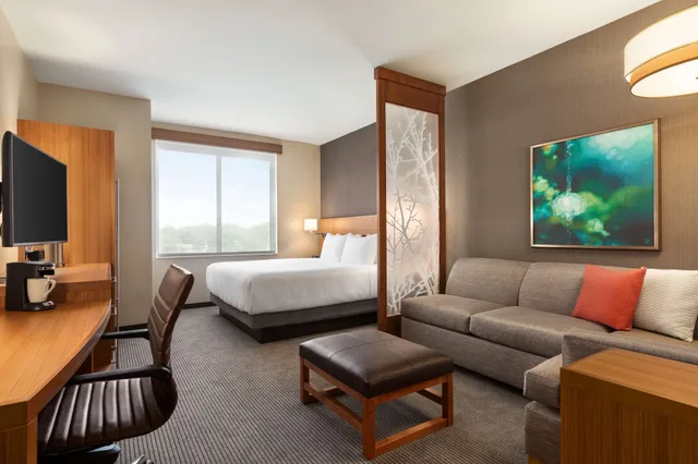Room, King Bed, Sofa, Hyatt Place Virginia Beach Town Center 1/4