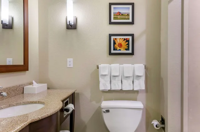 جناح بسرير كينج مع أريكة، Comfort Suites Helena Airport 4/5
