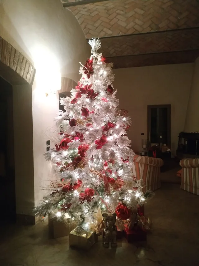 B&B Villa delle Palme، Carpi 41/49