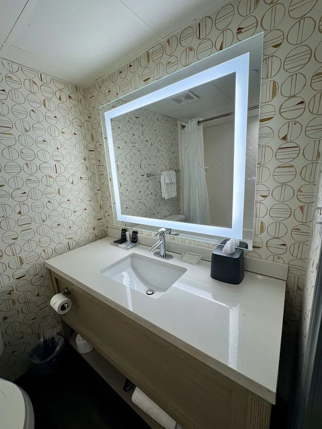 غرفة بسرير كينج، Wyndham Houston Hobby Airport 5/5