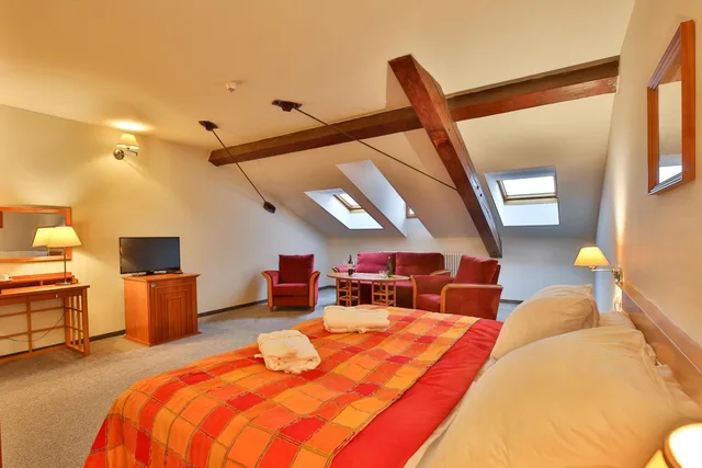 جناح جونيور بسرير فردي، Hotel Dvorak Tabor 6/10