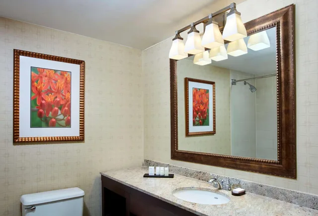 جناح بسرير كينج مع أريكة، Embassy Suites By Hilton Parsippany 3/5