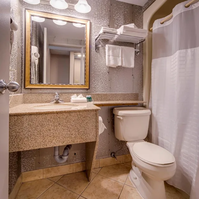 غرفة قياسية بسرير كينج وسرير كوين، Monte Carlo Inn Vaughan Suites 5/6