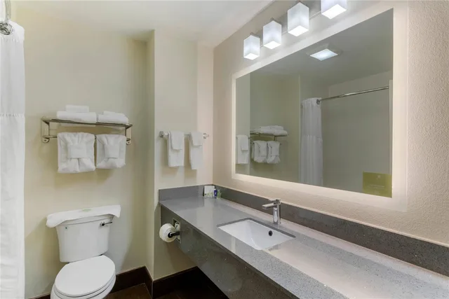 Suite, King Bed, Sleep Inn & Suites Smyrna - Nashville Area 3/3