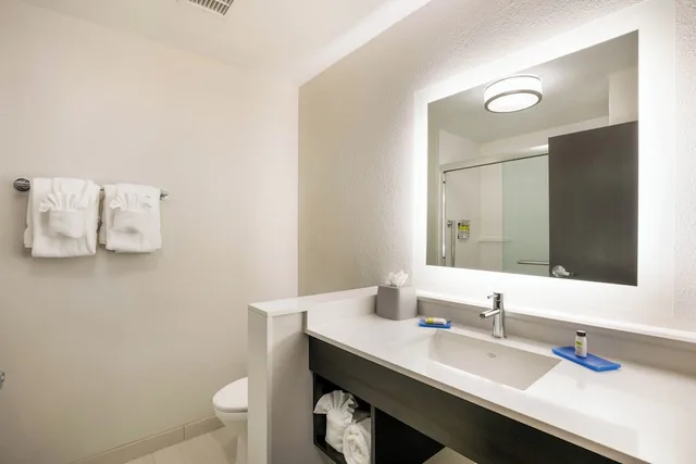 غرفة قياسية بسرير كينج، Holiday Inn Express Suites Jacksonville Town Center 3/3