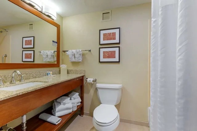 Suite, 2 Queen Beds, Comfort Suites Fredericksburg South 3/3