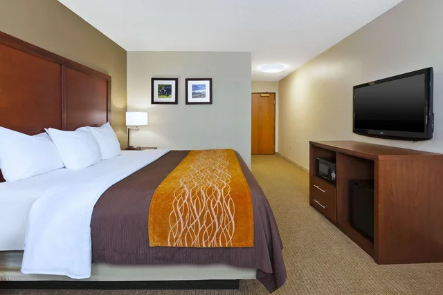 Room, King Bed, Comfort Inn & Suites Taylor - Detroit 8/10