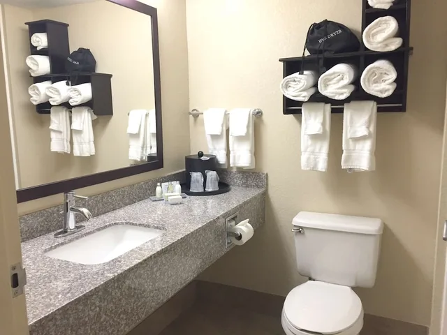 غرفة قياسية بسرير كينج، Best Western Plus Birmingham Inn & Suites 2/2