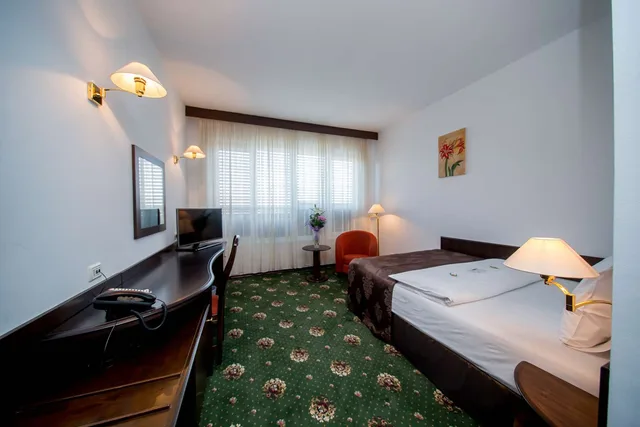 Standard, Double Bed, Best Western Central Hotel 1/5