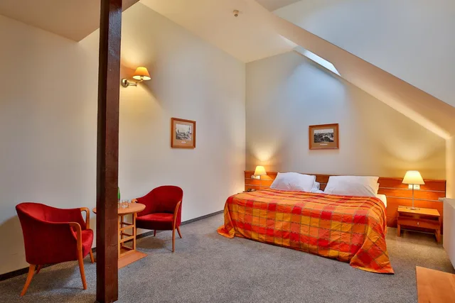 Superior, Family, Hotel Dvorak Tabor 9/10