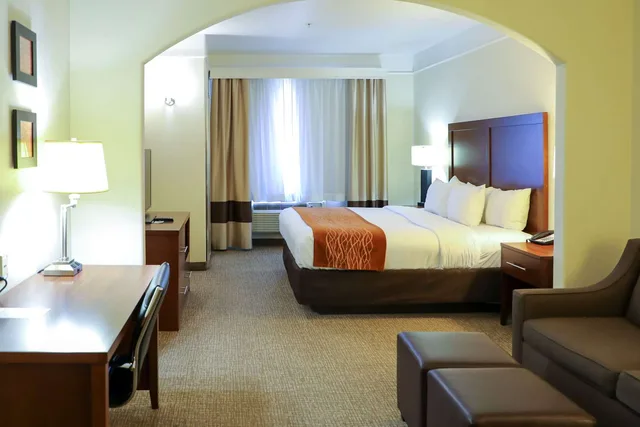 جناح بسرير كينج لذوي الإعاقة، Comfort Inn & Suites, Odessa I-20 2/2