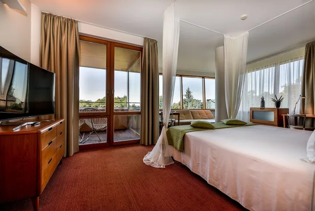 Junior Suite, King Bed, Luxury Building، PALANGA SPA DESIGN HOTEL 5/5
