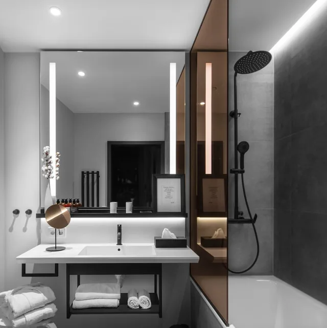 غرفة قياسية بسرير كوين، THE MANES Boutique Hotel Prague 5/5
