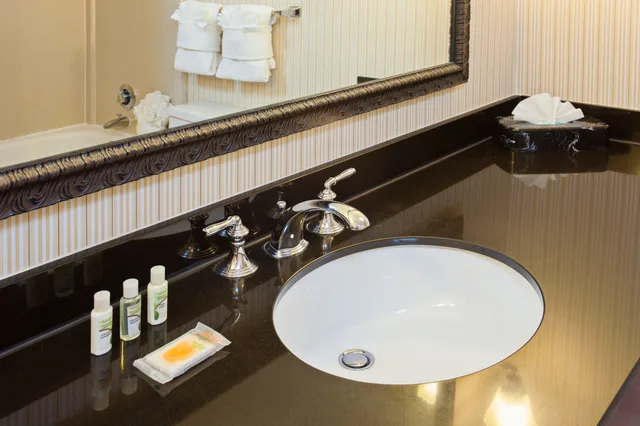 غرفة قياسية بسرير فردي، Holiday Inn Sacramento Downtown Arena 7/7