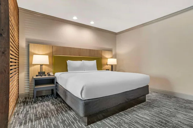 جناح داخلي بسرير كينج مع أريكة، Country Inn Suites By Radisson Metairie New Orleans La 2/4