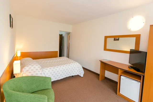 1 Bedroom, Suite, Poienita 2/5