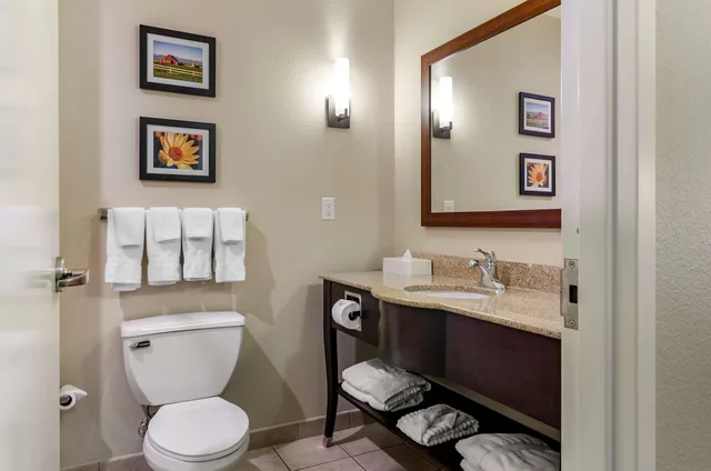 جناح بسرير كينج مع أريكة يُسمح فيها بالحيوانات الأليفة، Comfort Suites Helena Airport 2/3