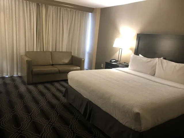غرفة قياسية بسرير كينج مع أريكة، The Hotel Ml 2/3