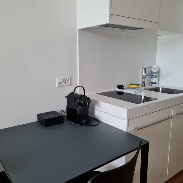 1 Bedroom, Connecting, Studio, Apartment, House, King Bed، Campus Hotel Hertenstein 6/7