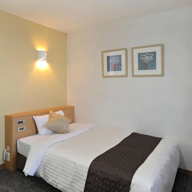 Room, Single, Hotel Annex Inn 8/18