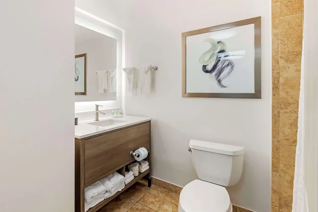 جناح بسرير كينج مع أريكة لذوي الإعاقة، Comfort Suites Valdosta Mall Area 4/4