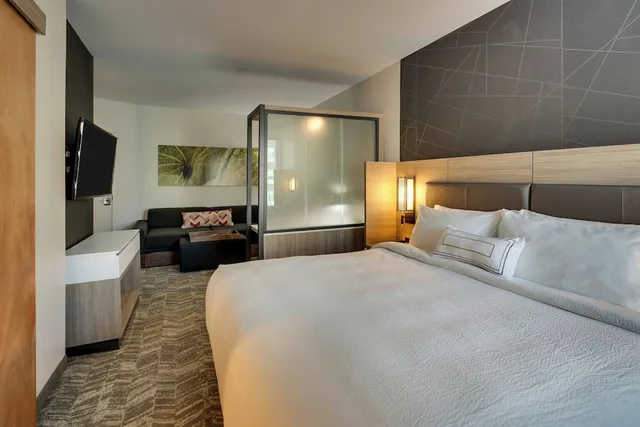جناح بسرير كينج مع سرير سحّاب إضافي، SpringHill Suites by Marriott Gulfport I-10 1/7