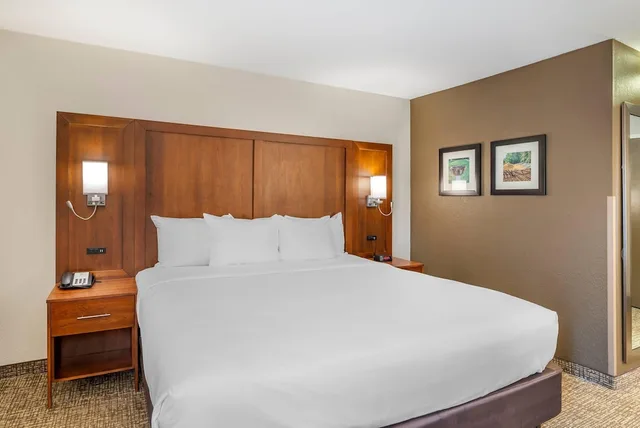 غرفة قياسية بسرير كينج، Comfort Inn Petersburg Fort Lee Area 3/10