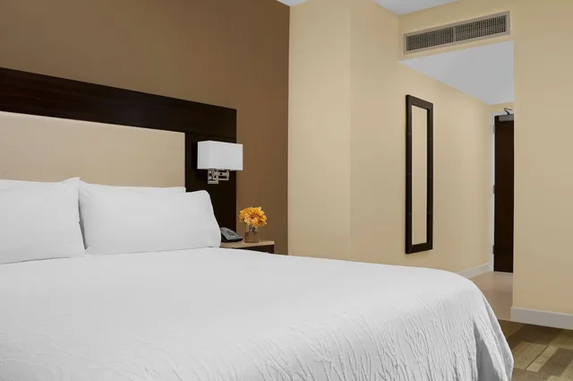 Room, King Bed, Partial Times Square View، Hilton Garden Inn New York/Times Square Central 3/10
