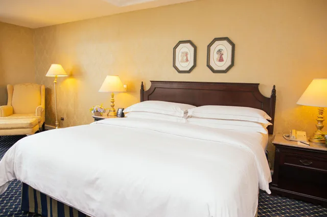 جناح تنفيذي بغرفة نوم واحدة، Hilton Princess Managua 5/10