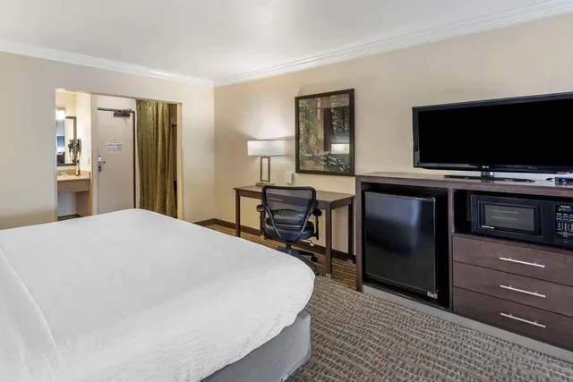 Room, King Bed, Accessible, Best Western Town & Country Lodge 2/7