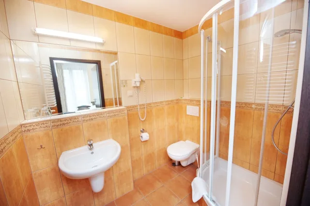 غرفة قياسية بسرير مزدوج، Hotel Wielopole 9/10