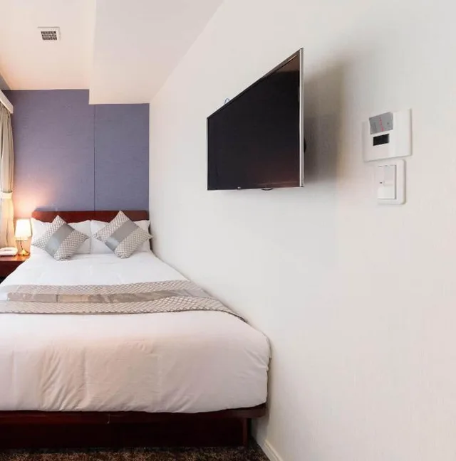 Semi Room, Semi Double Bed، Hotel Tokyo Trip Nishinippori 2/8
