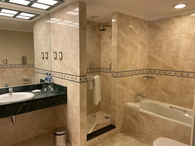 غرفة تنفيذية بسريرين منفصلين بإطلالة على المدينة، Hotel Emperador Buenos Aires 6/8