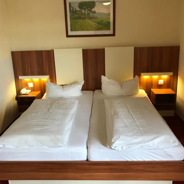 غرفة ديلوكس بسرير مزدوج، Central Hotel Apart Munchen 3/10