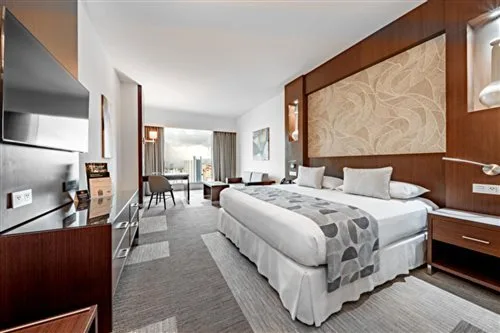 غرفة تنفيذية بسرير مزدوج، Riu Plaza Panama 1/2