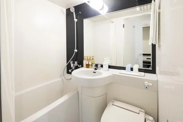 Semi Room, Standard, Semi Double Bed، Hotel Mystays Asakusabashi 11/11