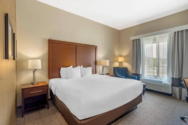 غرفة قياسية بسرير كينج، Comfort Inn & Suites Gap Amish Country 1/9