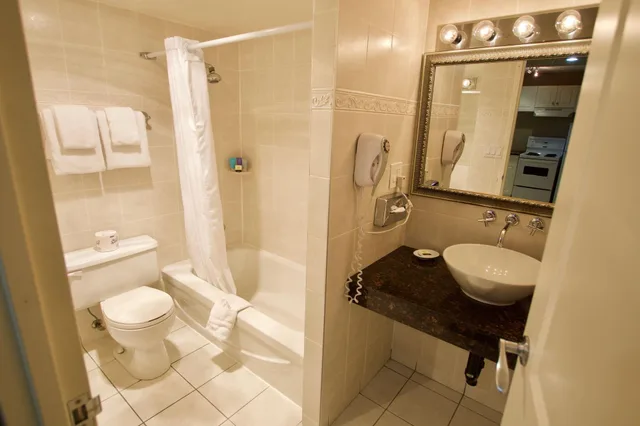 جناح تنفيذي بغرفة نوم واحدة بمطبخ، Century Plaza Hotel & Spa 10/10