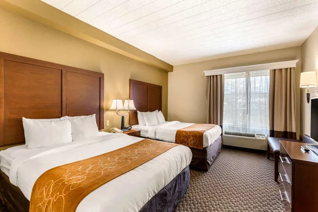 جناح بسريرين كوين، Comfort Suites Elkridge Columbia Gateway 2/4