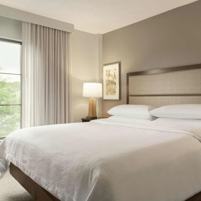 جناح ركني بسرير كينج بغرفتين مع أريكة، Embassy Suites By Hilton Atlanta Alpharetta 1/4