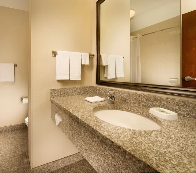 غرفة ديلوكس بسرير كينج بحوض استحمام في طابق مرتفع لذوي الإعاقة، Drury Inn & Suites Orlando 5/6