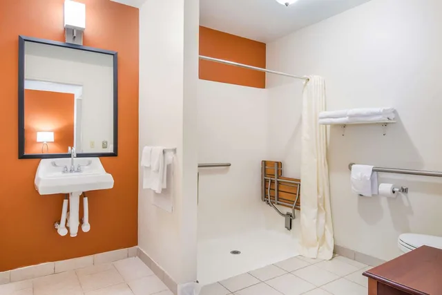 غرفة بسرير كينج لذوي الإعاقة، Sleep Inn & Suites Ronks - Lancaster Area 3/3