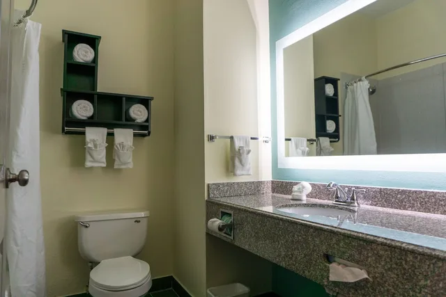 Standard, King Bed, Pet Friendly, Best Western Mayport Inn & Suites 3/5